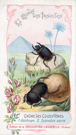 Le monde des insectes (titre inscrit)_0