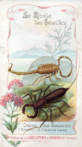Le monde des insectes (titre inscrit)_0