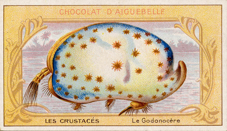 LES CRUSTACES / Le Godonocère (titre inscrit)_0