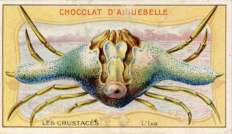 LES CRUSTACES / L'Ixa (titre inscrit)_0