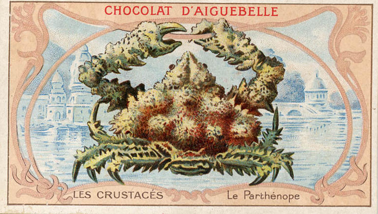 LES CRUSTACES / Le Parthénope (titre inscrit)_0