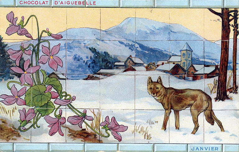 Janvier-Loup (titre d'origine)_0