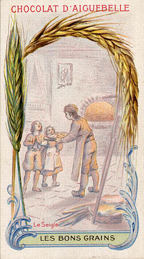 LES BONS GRAINS / Le Seigle (titre inscrit)_0
