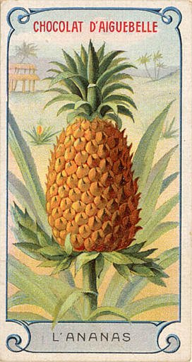 L'ANANAS (titre inscrit)_0