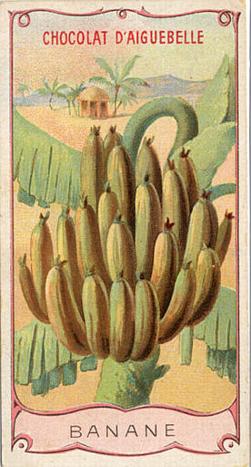 BANANE (titre inscrit)_0
