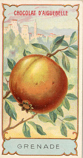 GRENADE (titre inscrit)_0