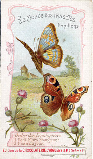 LE MONDE DES INSECTES / Papillons. / Ordre des Lépidopterès / 1 Petit Mars changeant / 2 Paon du jour (titre inscrit)_0