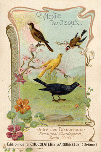 LE MONDE DES OISEAUX / Ordre des Passereaux / Rossignol,  Chardonneret, Serin, Merle (titre inscrit)_0