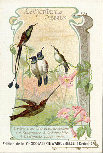 LE MONDE DES OISEAUX / Ordre des Passereaux (Colibris) / 1.2. Stéganure 3. Oréotrochile / 4. Docimaste port-épée (titre inscrit)_0