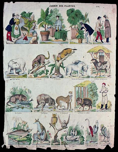 JARDIN DES PLANTES. (titre inscrit)_0