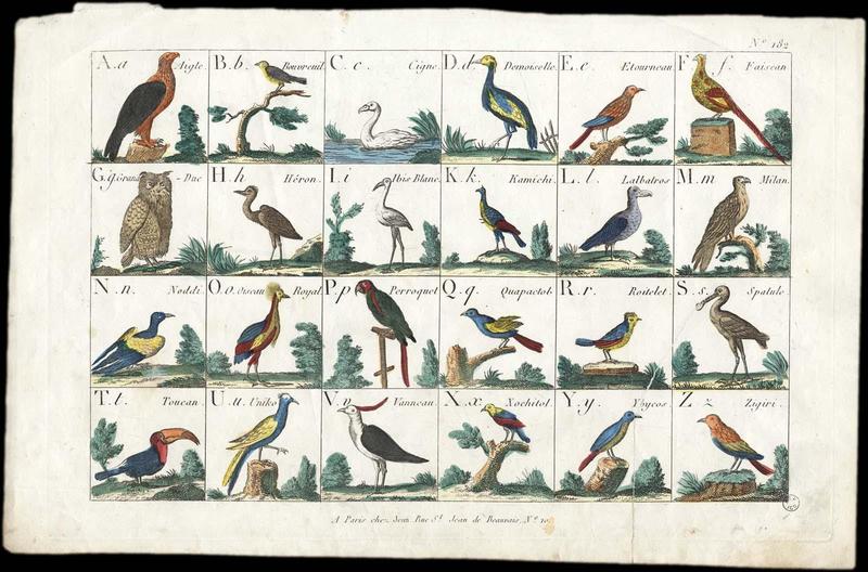 Alphabet des oiseaux (titre factice)_0