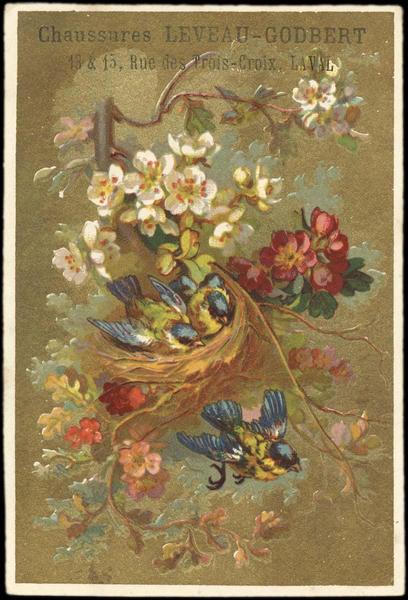 Nid dans les fleurs (titre factice)_0