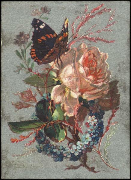 Papillon sur un bouquet (titre factice)_0