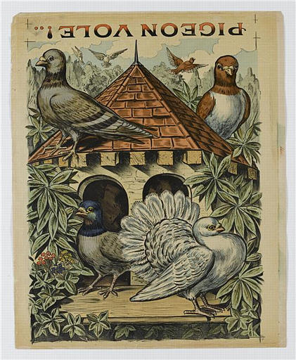 PIGEON VOLE ! (titre inscrit)_0