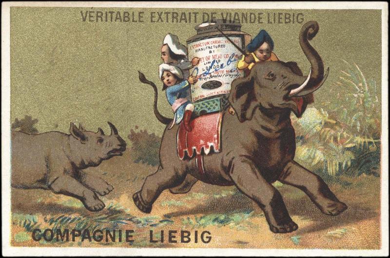 Un rhinoceros court après un éléphant qui porte des indiens et une boîte de Liebig (titre factice)_0