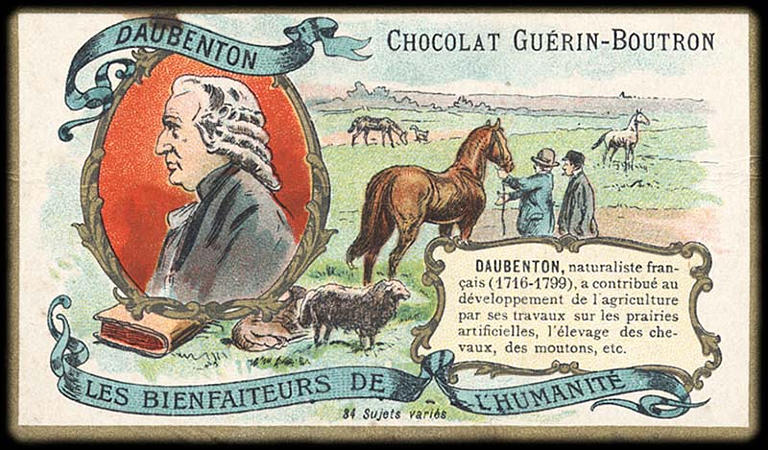 LES BIENFAITEURS DE L'HUMANITÉ ; DAUBENTON (titre inscrit)_0