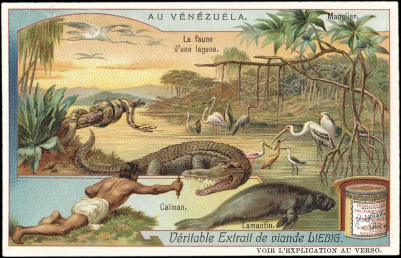 AU VENEZUELA (titre inscrit)_0