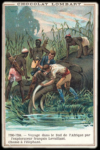 1780-1784. - Voyage dans le Sud de l'Afrique par / l'explorateur français Levaillant. / Chasse à l'éléphant (titre inscrit)_0