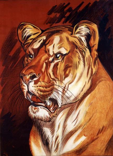 Lionne (titre factice)_0