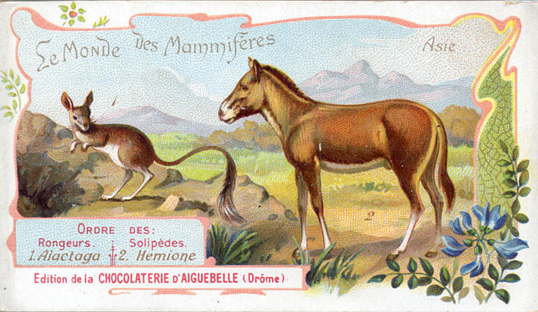 Le Monde des Mammifères (titre inscrit)_0