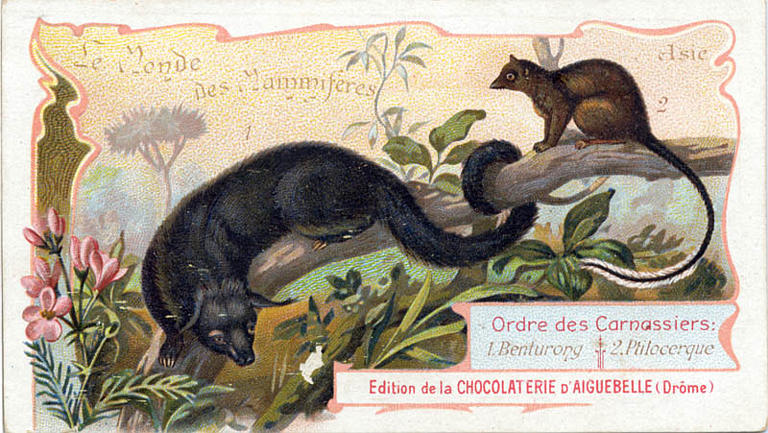 Le Monde des Mammifères (titre inscrit)_0