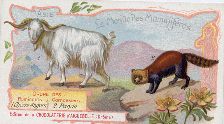 Le Monde des Mammifères (titre inscrit)_0