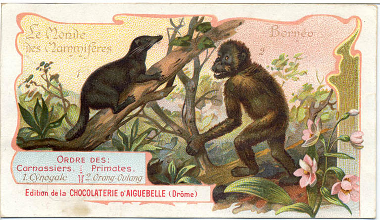 Le Monde des Mammifères (titre inscrit)_0