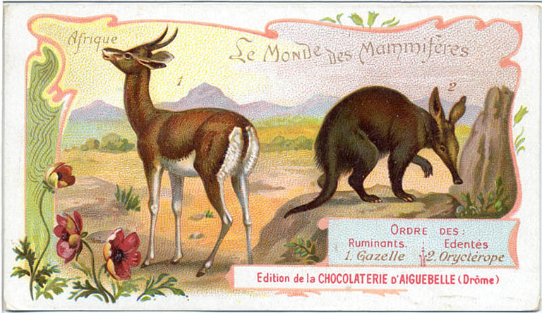 Le Monde des Mammifères (titre inscrit)_0