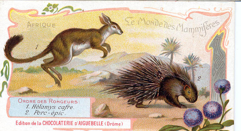 Le Monde des Mammifères (titre inscrit)_0