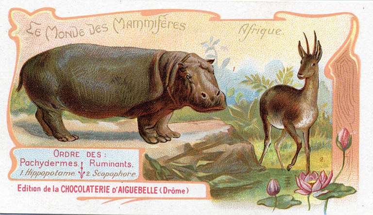 Le Monde des Mammifères (titre inscrit)_0