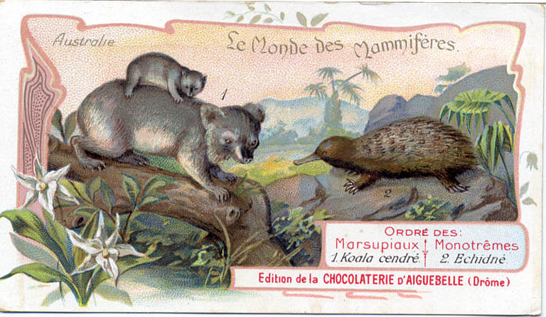 Le Monde des Mammifères (titre inscrit)_0