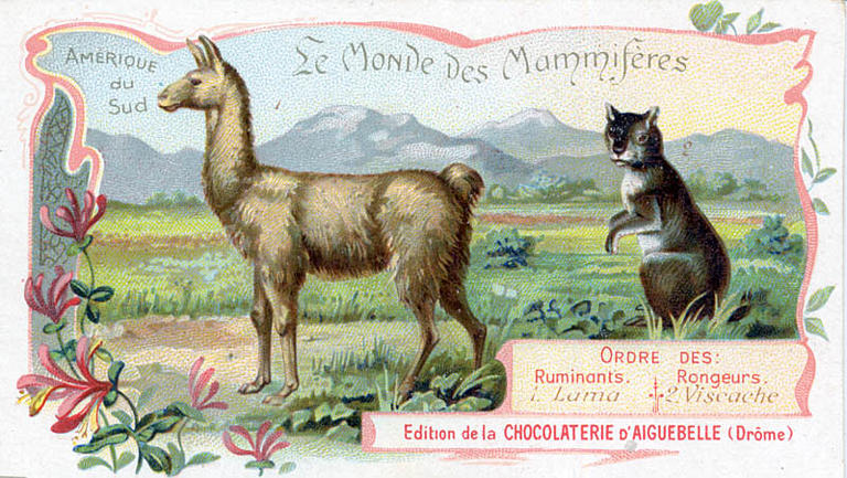 Le Monde des Mammifères (titre inscrit)_0