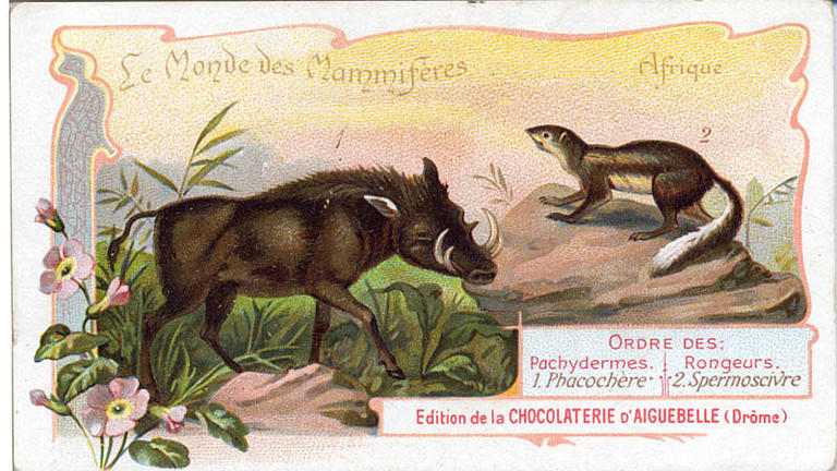 Le Monde des Mammifères (titre inscrit)_0
