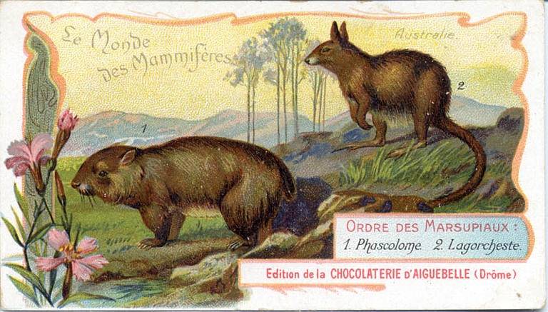 Le Monde des Mammifères (titre inscrit)_0