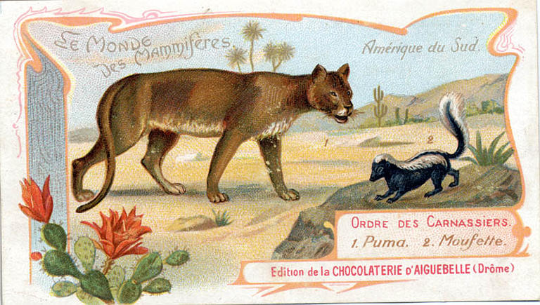Le Monde des Mammifères (titre inscrit)_0