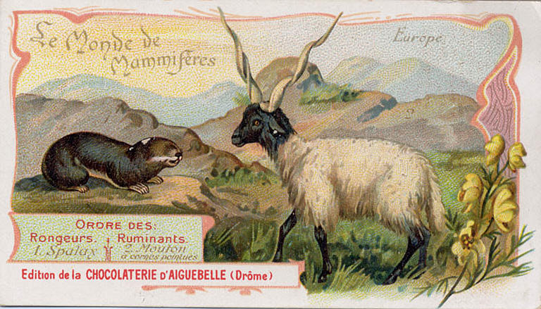 Le Monde des Mammifères (titre inscrit)_0