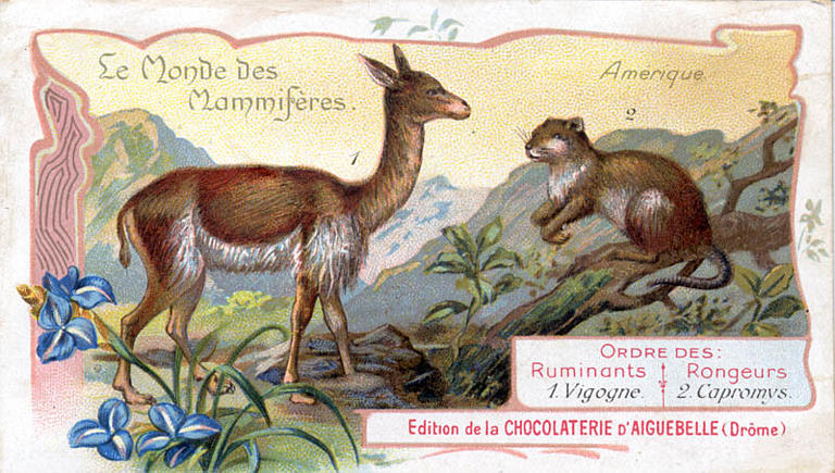 Le Monde des Mammifères (titre inscrit)_0