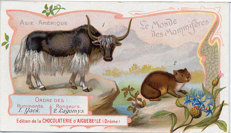 Le Monde des Mammifères (titre inscrit)_0