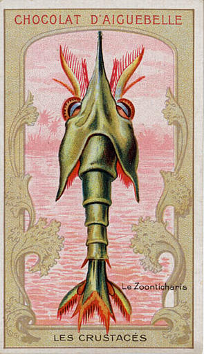 LES CRUSTACES / Le Zoonhoncaris (titre inscrit)_0