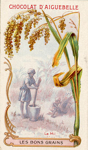 LES BONS GRAINS / Le Mil (titre inscrit)_0