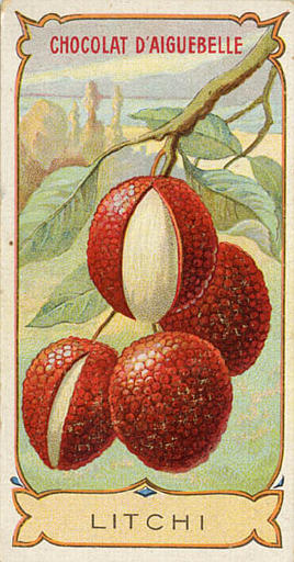 LITCHI (titre inscrit)_0