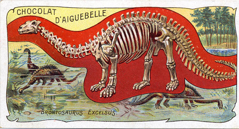 BRONTOSAURUS EXCELSUS (titre inscrit)_0