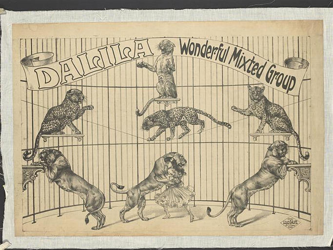 DALILA Wonderful Mixted Group (titre inscrit)_0