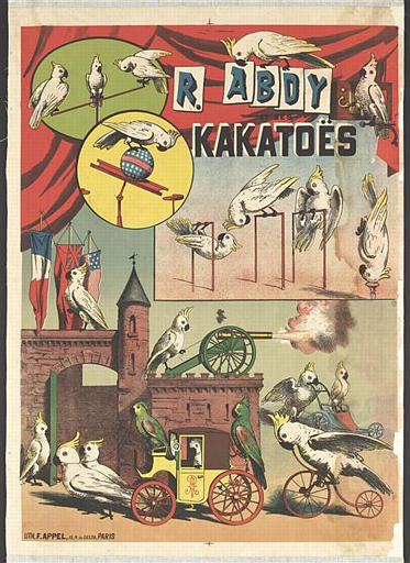 R. ABDY / ET SES / KAKATOËS (titre inscrit)_0