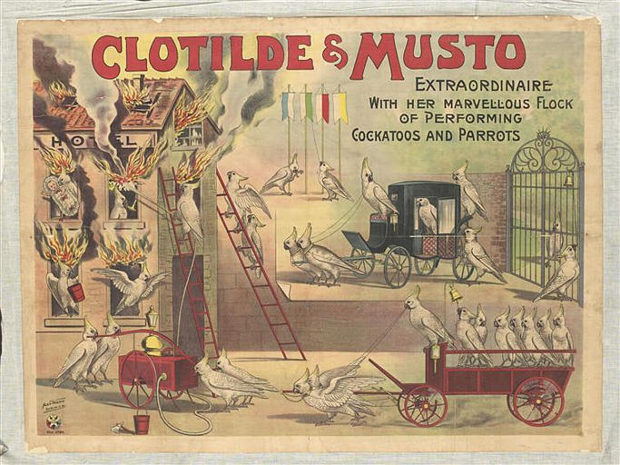 CLOTILDE & MUSTO (titre inscrit)_0
