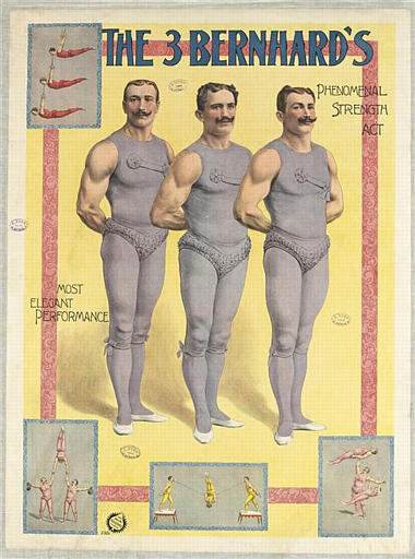 THE 3 BERNARD'S (titre inscrit, anglais)_0