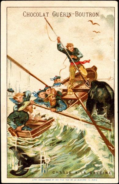 CHASSE A LA BALEINE (titre inscrit)_0