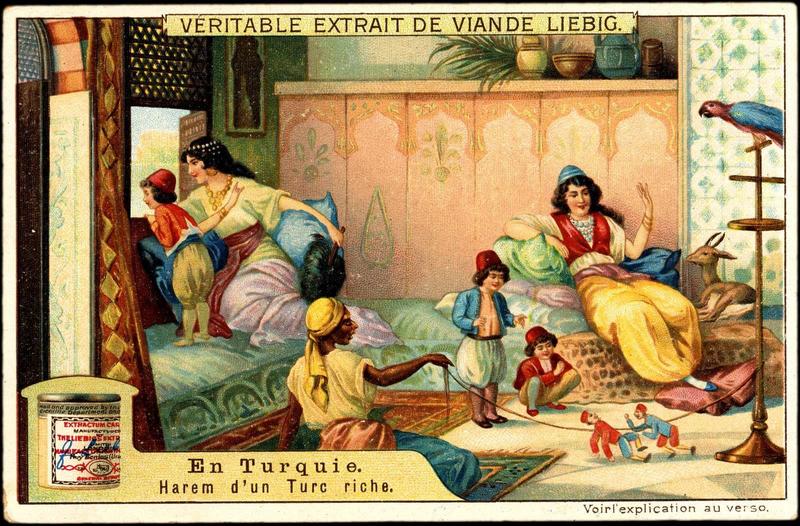 EN TURQUIE / Harem d'un turc riche (titre inscrit)_0