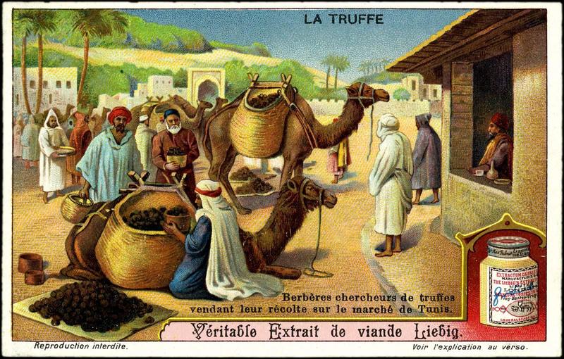 LA TRUFFE (titre inscrit)_0