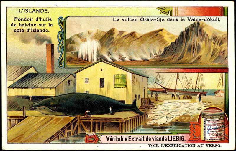 L'ISLANDE (titre inscrit)_0